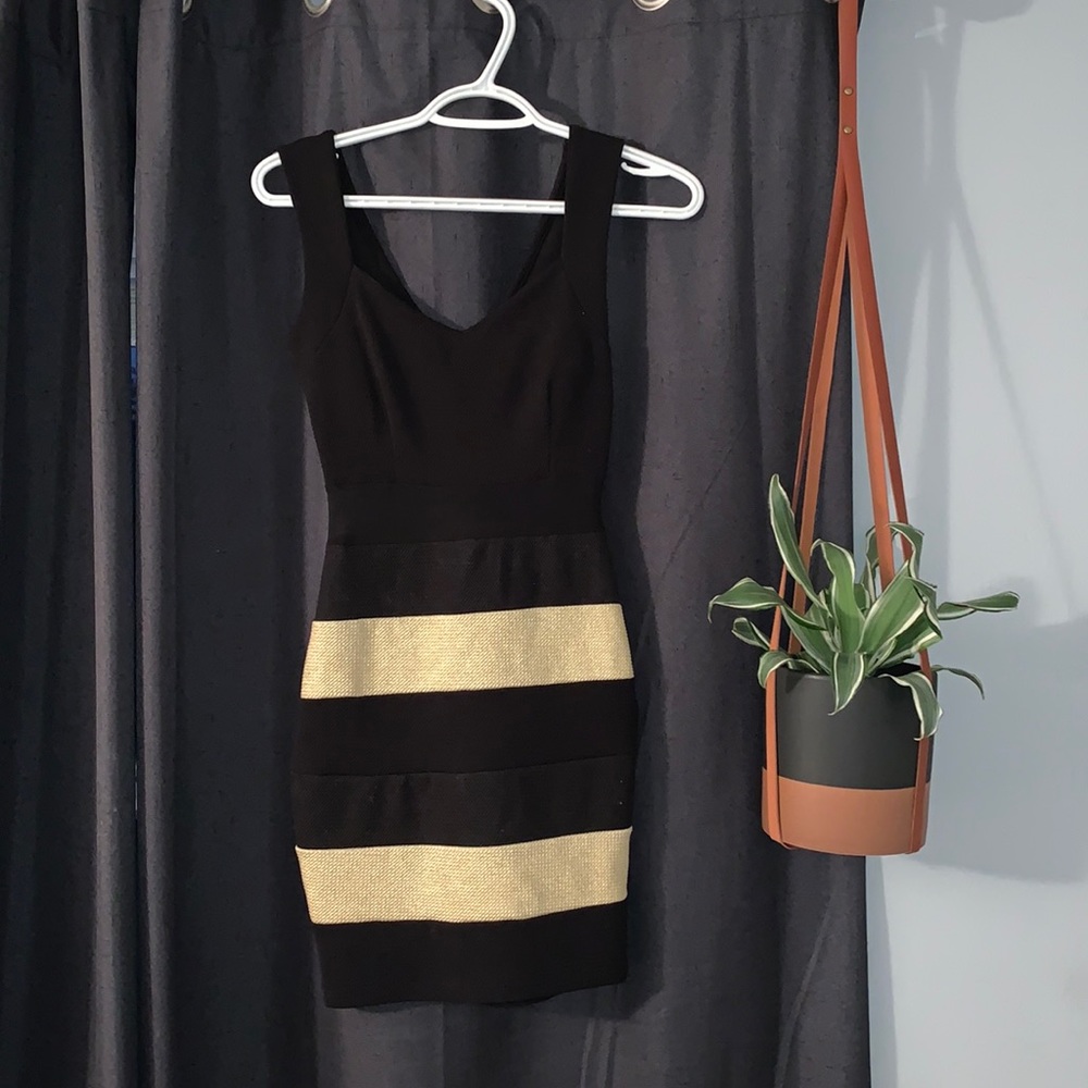 S Form fitting dress from Windsor